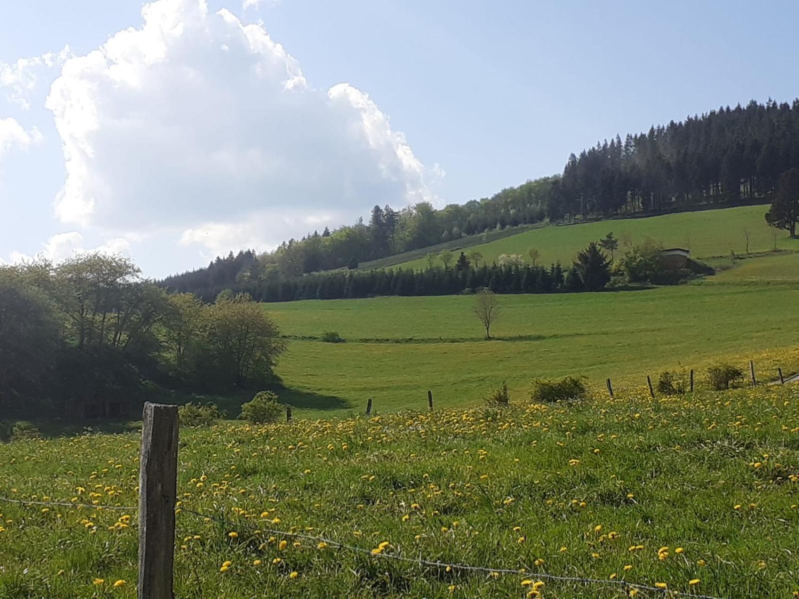 Ferienwohnungen Sternenhimmel Whg 1 Medebach Bagian luar foto