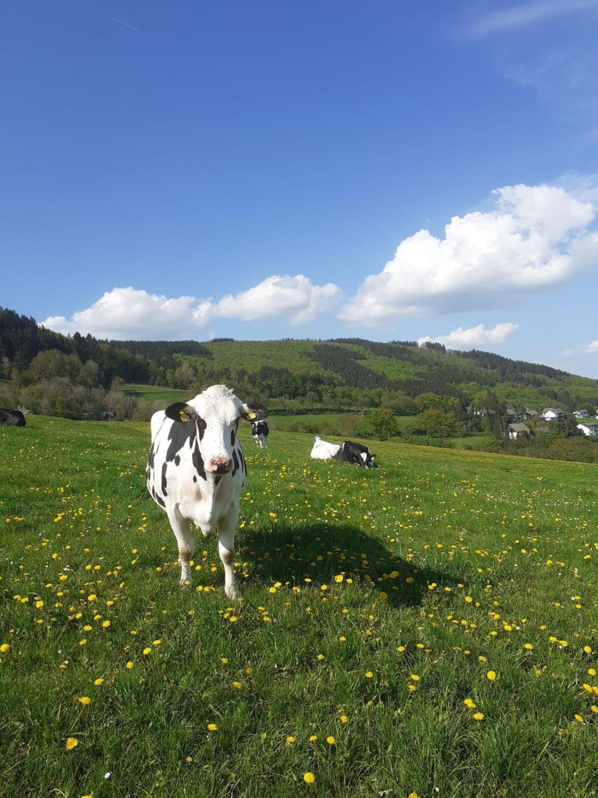 Ferienwohnungen Sternenhimmel Whg 1 Medebach Bagian luar foto