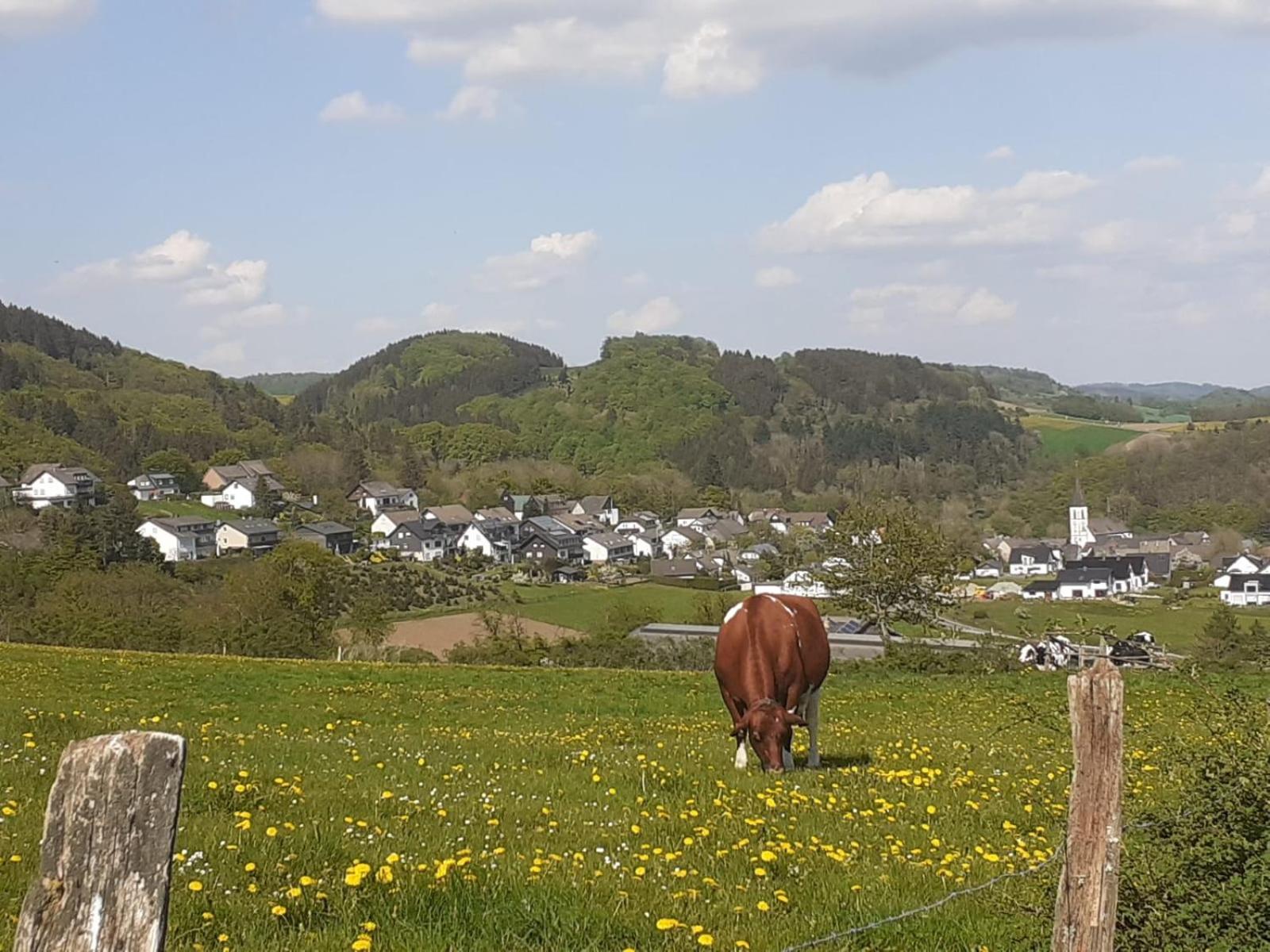 Ferienwohnungen Sternenhimmel Whg 1 Medebach Bagian luar foto