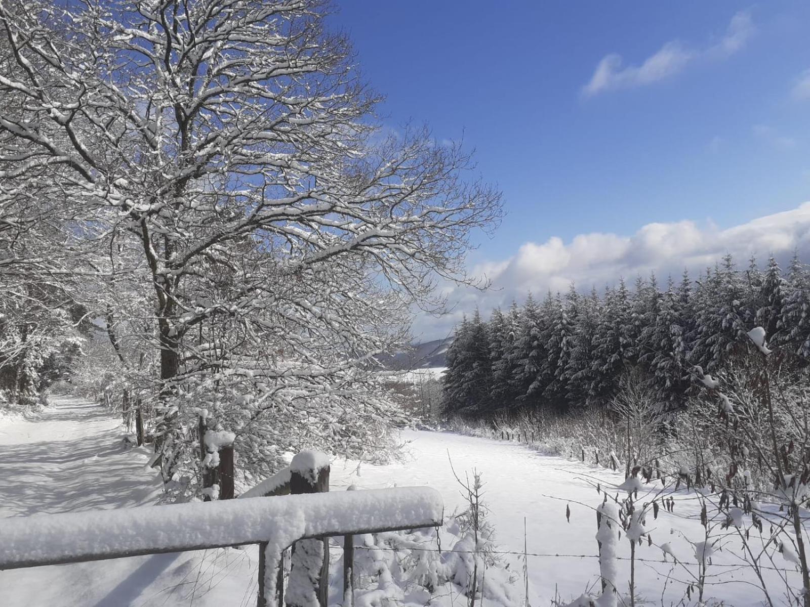 Ferienwohnungen Sternenhimmel Whg 1 Medebach Bagian luar foto